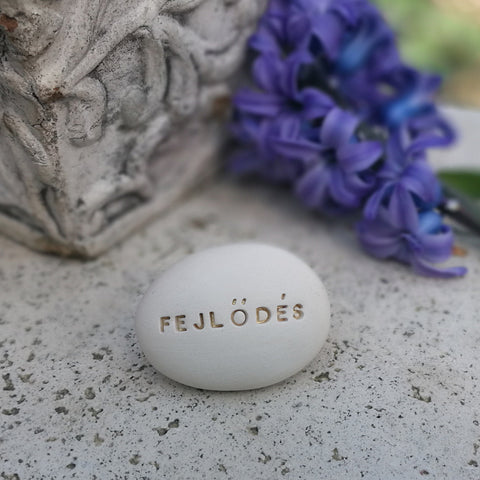 FEJLŐDÉS - Self-transcending motivational message