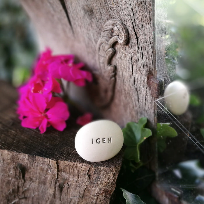 IGEN - Say yes!