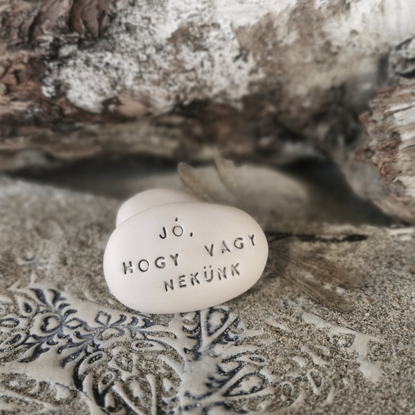 JÓ, HOGY VAGY NEKÜNK - Dillo con Magic Pebble 