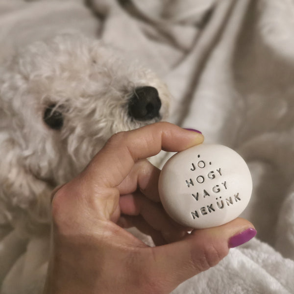 JÓ, HOGY VAGY NEKÜNK - Dillo con Magic Pebble 